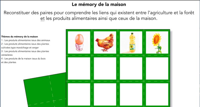 Mémory maison